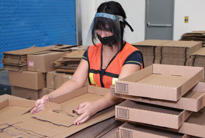 IMMEX de Servicios